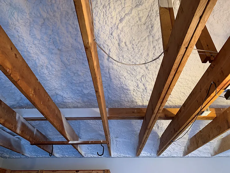 Thermal and ignition barrier coating